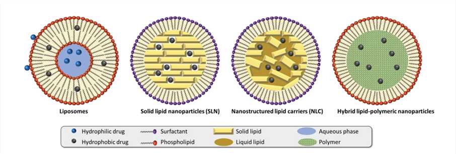 Different Types of Lipid Nanoparticles.